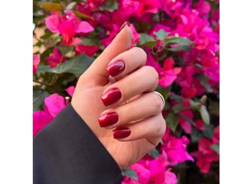 گیوا VIP (شعبه سعادت آباد) در تهران؛ تصویر 1 از فضای مجموعه و نمونه‌کارها