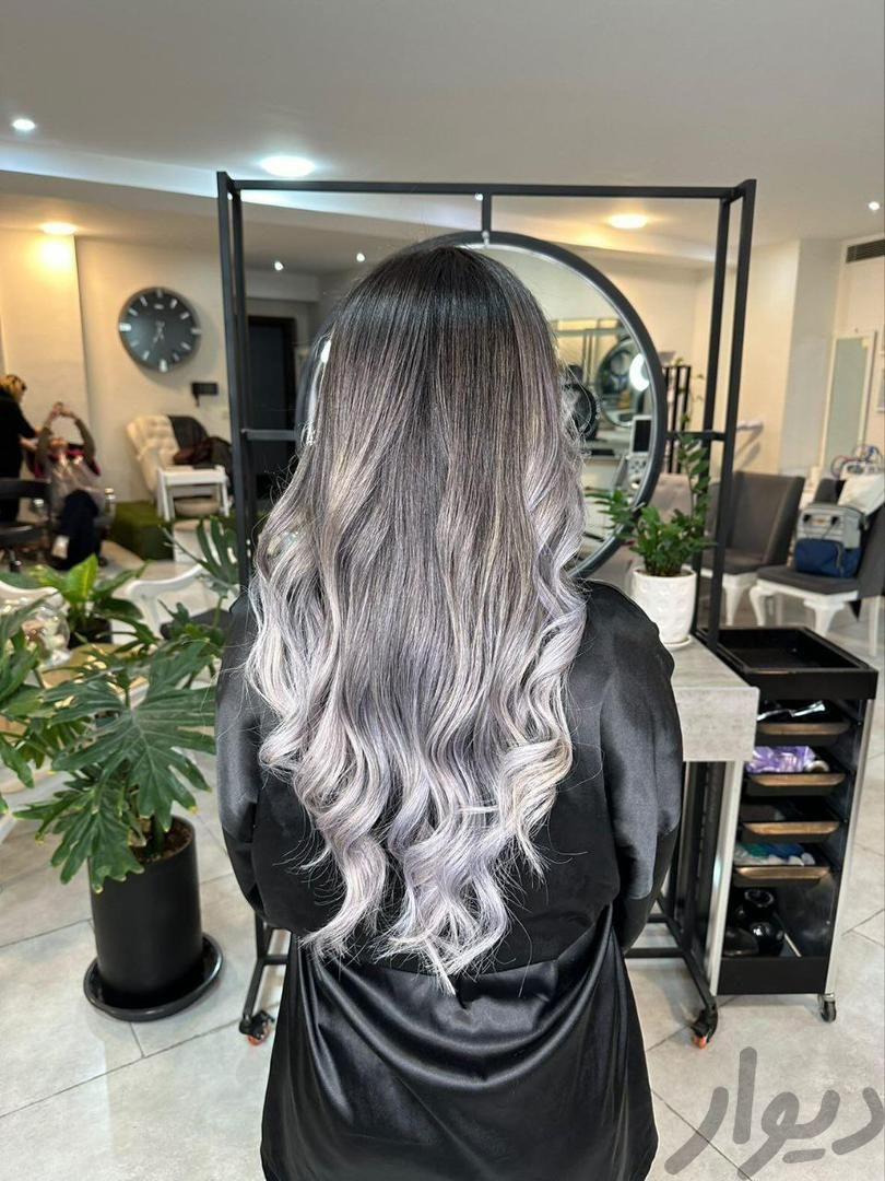 استخدام دستیار رنگ و مش با اعطای مدرک