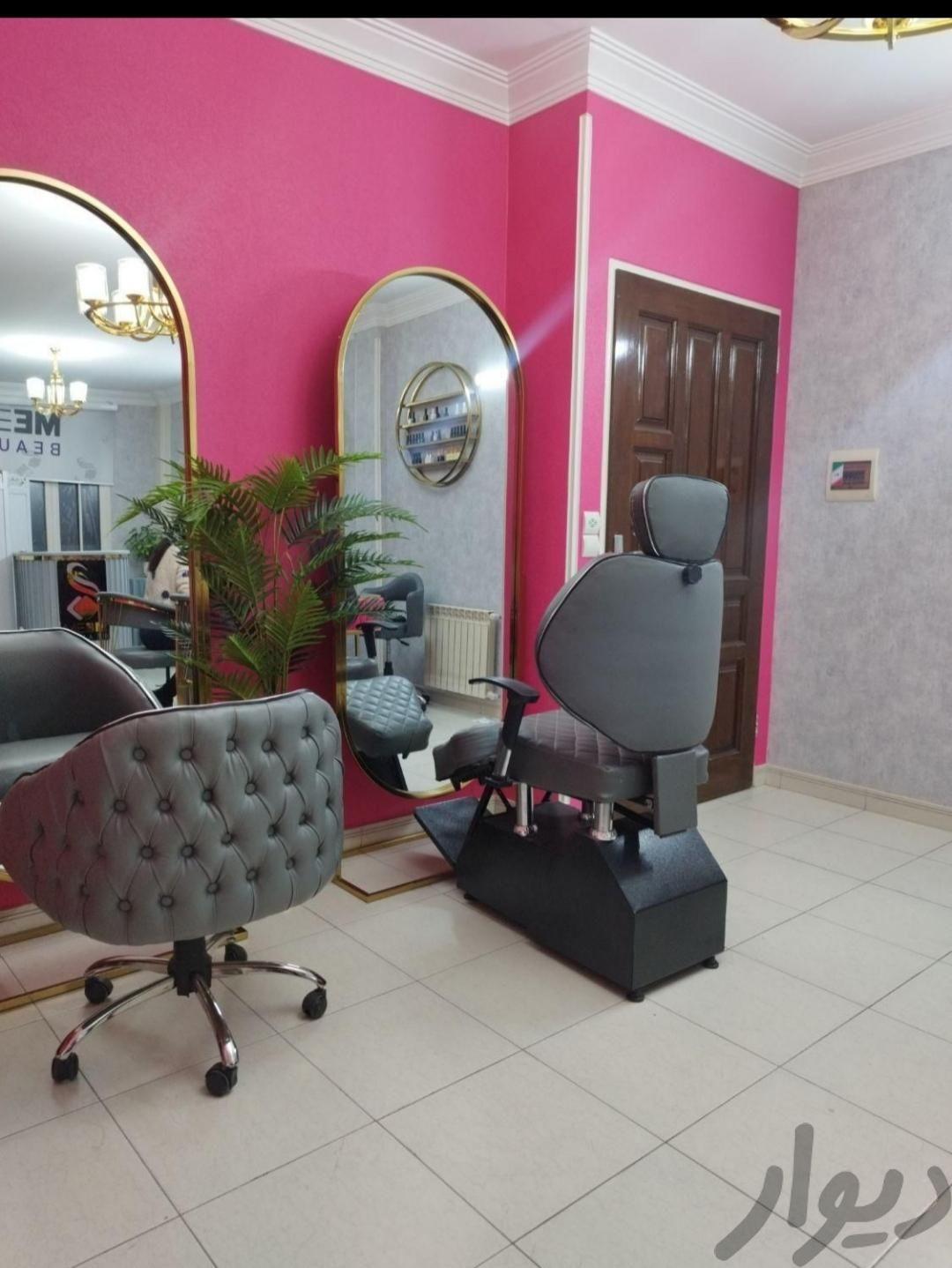 ناخنکار مسلط به پودر و ژل نارمک
