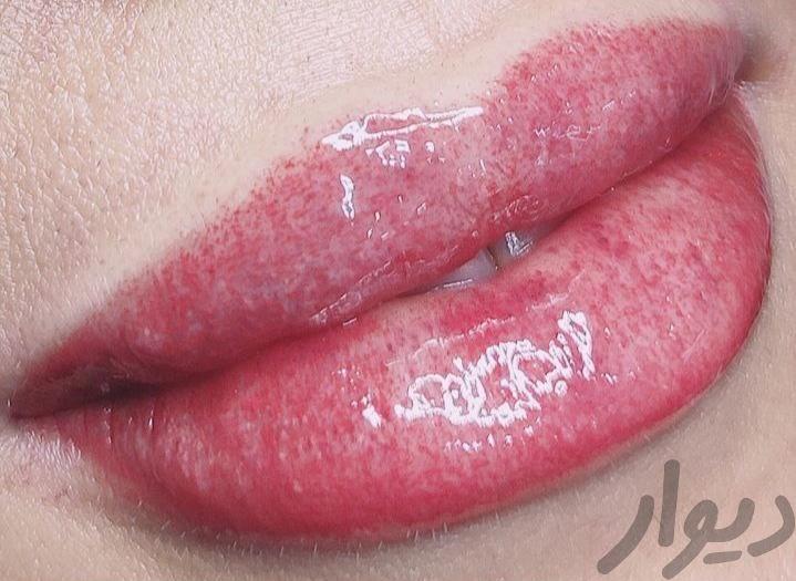 متقاضی همکاری بصورت درصدی در لاین آرایش دائم..ریمو
