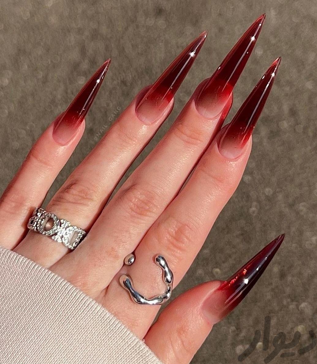 ناخنکار حرفه ای و با سابقه
